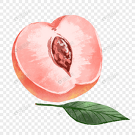 色天堂APPAPP应用